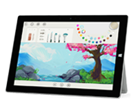 八步Surface 无法开启、Windows 无法启动或电池无法充电